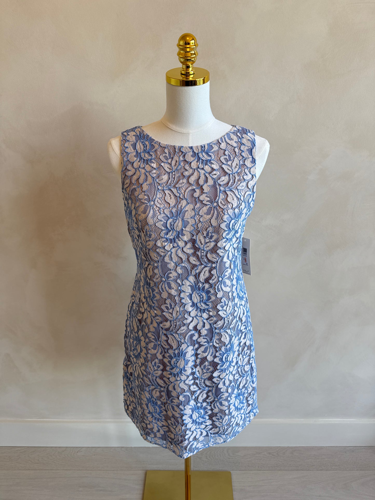Eliza J Dress Size 2