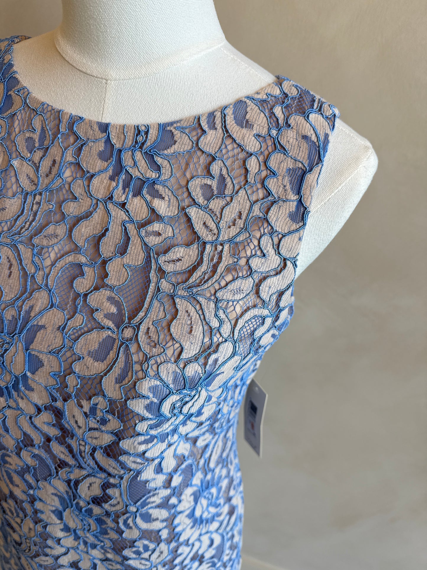 Eliza J Dress Size 2